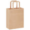 Papieren kraftzakken 250 st met hengsels 18x8x22 cm bruin