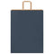 Papieren kraftzakken 50 st met hengsels 32x12x42 cm blauw