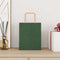 Papieren kraftzakken 250 st met hengsels 18x8x22 cm groen