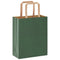 Papieren kraftzakken 250 st met hengsels 18x8x22 cm groen