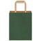 Papieren kraftzakken 250 st met hengsels 18x8x22 cm groen