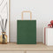 Papieren kraftzakken 50 st met hengsels 18x8x22 cm groen
