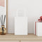 Papieren kraftzakken 50 st met hengsels 15x8x21 cm wit