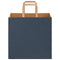 Papieren kraftzakken 50 st met hengsels 26x17x25 cm blauw