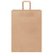 Papieren kraftzakken 50 st met hengsels 32x17x44 cm bruin