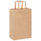 Papieren kraftzakken 250 st met hengsels 21x11x31 cm bruin