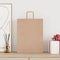 Papieren kraftzakken 50 st met hengsels 32x12x42 cm bruin