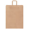 Papieren kraftzakken 50 st met hengsels 32x12x42 cm bruin
