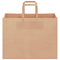 Papieren kraftzakken 50 st met hengsels 32x17x25 cm bruin