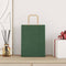 Papieren kraftzakken 50 st met hengsels 21x11x28 cm groen