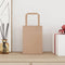 Papieren kraftzakken 50 st met hengsels 15x8x21 cm bruin