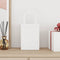 Papieren kraftzakken 250 st met hengsels 15x8x21 cm wit