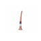 Anale Plug Virgite