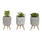 Decoratieve plant Home ESPRIT Polyethyleen Cement 6,5 x 6,5 x 11 cm (3 Stuks)