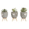 Decoratieve plant Home ESPRIT Polyethyleen Cement 9,5 x 9,5 x 12 cm (3 Stuks)