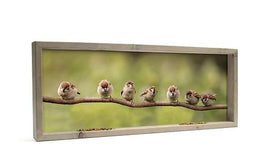 All seasons posters - 7 jonge mussen op tak/ GROEN 102x42 (XL)