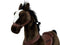 MY PONY, rijdend speelgoed paard van ROLLZONE ®, 8+ jaar (MP2009-L)