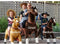 MY PONY, rijdend speelgoed paard van ROLLZONE ®, 8+ jaar (MP2009-L)