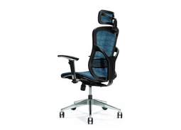 Ergonomische bureaustoel ERGO 500 blauw