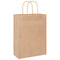Papieren kraftzakken 250 st met hengsels 26x12x35 cm bruin