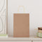 Papieren kraftzakken 50 st met hengsels 21x11x31 cm bruin