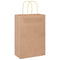 Papieren kraftzakken 50 st met hengsels 21x11x31 cm bruin