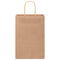 Papieren kraftzakken 50 st met hengsels 21x11x31 cm bruin