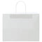 Papieren kraftzakken 50 st met hengsels 32x17x25 cm wit
