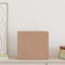 Papieren kraftzakken 50 st met hengsels 32x22x28 cm bruin