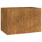 Plantenbak roestig 120x80x80 cm weervast staal