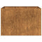 Plantenbak roestig 120x80x80 cm weervast staal