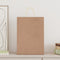 Papieren kraftzakken 250 st met hengsels 32x17x44 cm bruin