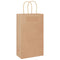 Papieren kraftzakken 50 st met hengsels 21x11x36 cm bruin