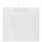 Papieren kraftzakken 250 st met hengsels 54x15x49 cm wit