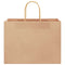 Papieren kraftzakken 250 st met hengsels 32x17x25 cm bruin