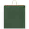 Papieren kraftzakken 50 st met hengsels 45x17x48 cm groen