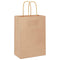 Papieren kraftzakken 250 st met hengsels 15x8x21 cm bruin