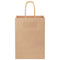 Papieren kraftzakken 250 st met hengsels 15x8x21 cm bruin