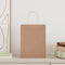 Papieren kraftzakken 50 st met hengsels 21x11x28 cm bruin