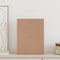 Papieren kraftzakken 50 st met hengsels 32x12x42 cm bruin