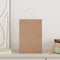 Papieren kraftzakken 250 st met hengsels 21x11x31 cm bruin