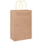 Papieren kraftzakken 250 st met hengsels 21x11x31 cm bruin