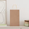 Papieren kraftzakken 250 st met hengsels 21x11x36 cm bruin