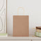 Papieren kraftzakken 250 st met hengsels 21x11x28 cm bruin