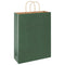 Papieren kraftzakken 250 st met hengsels 32x12x42 cm groen