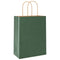Papieren kraftzakken 50 st met hengsels 21x11x28 cm groen