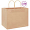 Papieren kraftzakken 50 st met hengsels 32x22x24 cm bruin