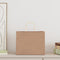 Papieren kraftzakken 50 st met hengsels 32x22x24 cm bruin