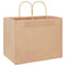 Papieren kraftzakken 50 st met hengsels 32x22x24 cm bruin