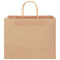 Papieren kraftzakken 50 st met hengsels 32x22x24 cm bruin